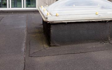 disadvantages of Bye Green flat roofs